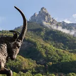 Western Pays Du Mont Blanc Hotel Sallanches