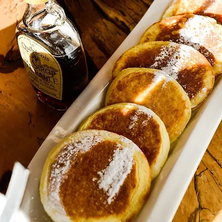 Western Pays Du Mont Blanc 4* 萨莱切